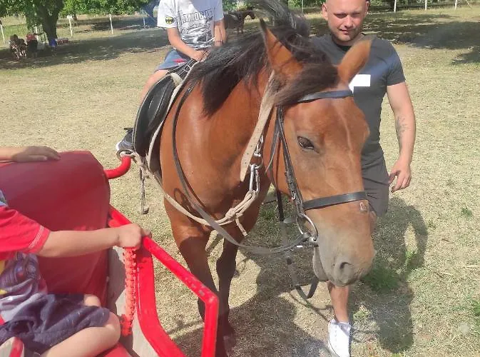 In Sun Waves Lägenhet *